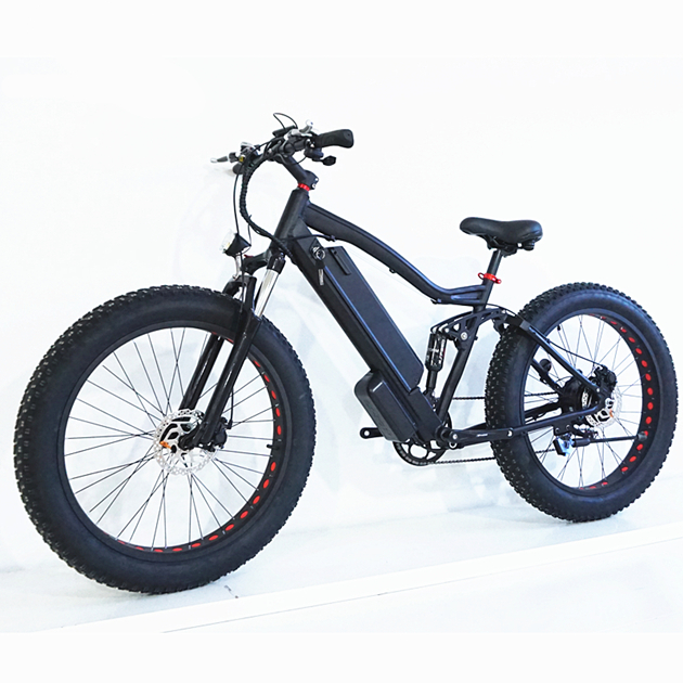 sun electric bike