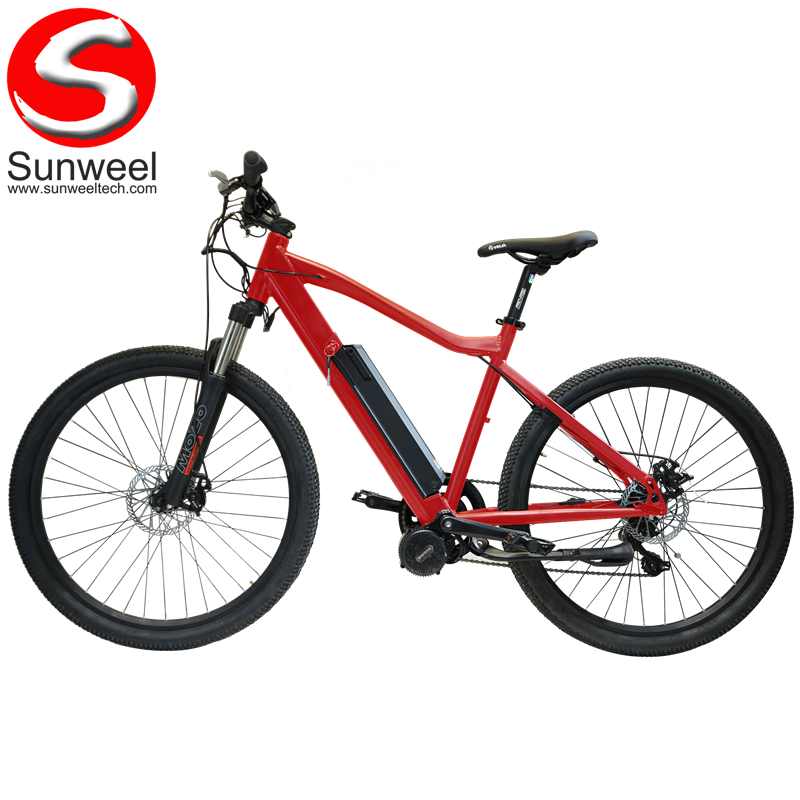 2 wheel drive electric bike