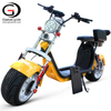 Most Popular 1000W 60V Electric Scooter Harley Citycoco CE Approved | GaeaCycle Electric Scooter City Coco