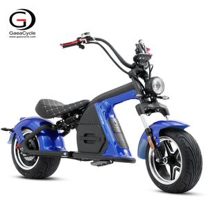 EEC COC Approved Electric Scooter 2000w 20ah 30ah Removable Lithium Battery Long Range 80km Per Charge