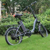Folding Electric Bike with Cheap Price, 350W 48V 10Ah, 20Inch Tires, Aluminum Alloy Frame | GaeaCycle Queen