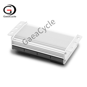 Controller for E Chopper M1P M2 M8 | GaeaCycle Citycoco