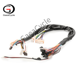 Wiring Harness for E Chopper | Gaeacycle Citycoco E Scooter