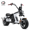 EEC COC Approved Electric Scooter 2000w 20ah 30ah Removable Lithium Battery Long Range 80km Per Charge