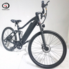 Full Suspension Electric Mountain Bike, 26-27.5 Inch Tires, 250W Brushless Motor, Lithium Battery, 6-Speed, Aluminum Alloy Frame | GaeaCycle Warrior