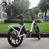 Folding Electric Bike with Cheap Price, 350W 48V 10Ah, 20Inch Tires, Aluminum Alloy Frame | GaeaCycle Queen