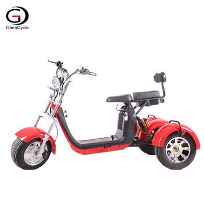 All Terrain 3 Wheel Electric Golf 