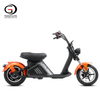 Citycoco M2 Electric Fat Scooter 3000W Brushless Motor 60V 40Ah Large Battery US European Warehouse | GaeaCycle E-Chopper