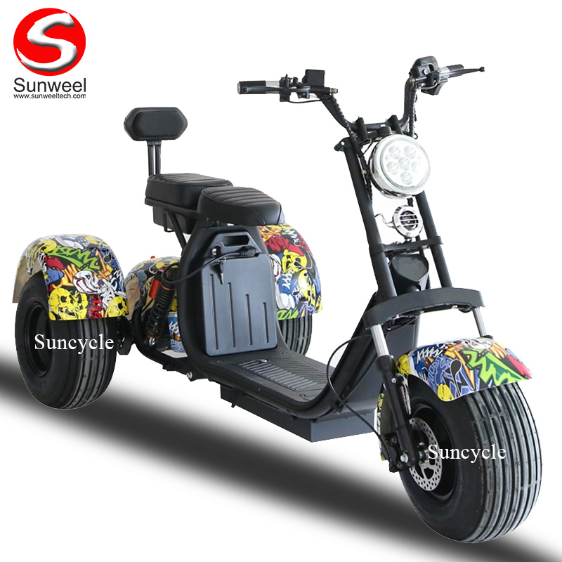 Double Removable Batteries 3 Wheel Electric Tricycle
