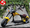  EEC Approved High Quality Cheap Electric Motorcycle Citycoco